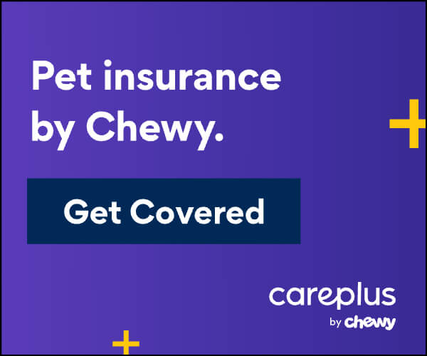 CHEWY campaign creative