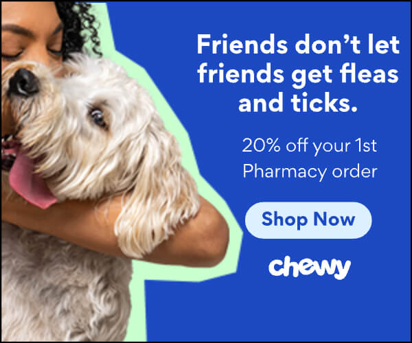 Chewy campaign creative