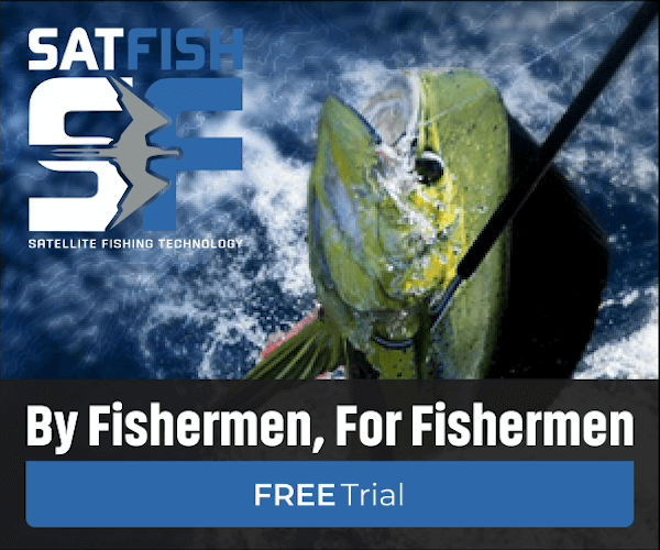 SATFISH campaign creative